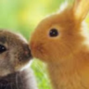 Meet your Posher, Francesca